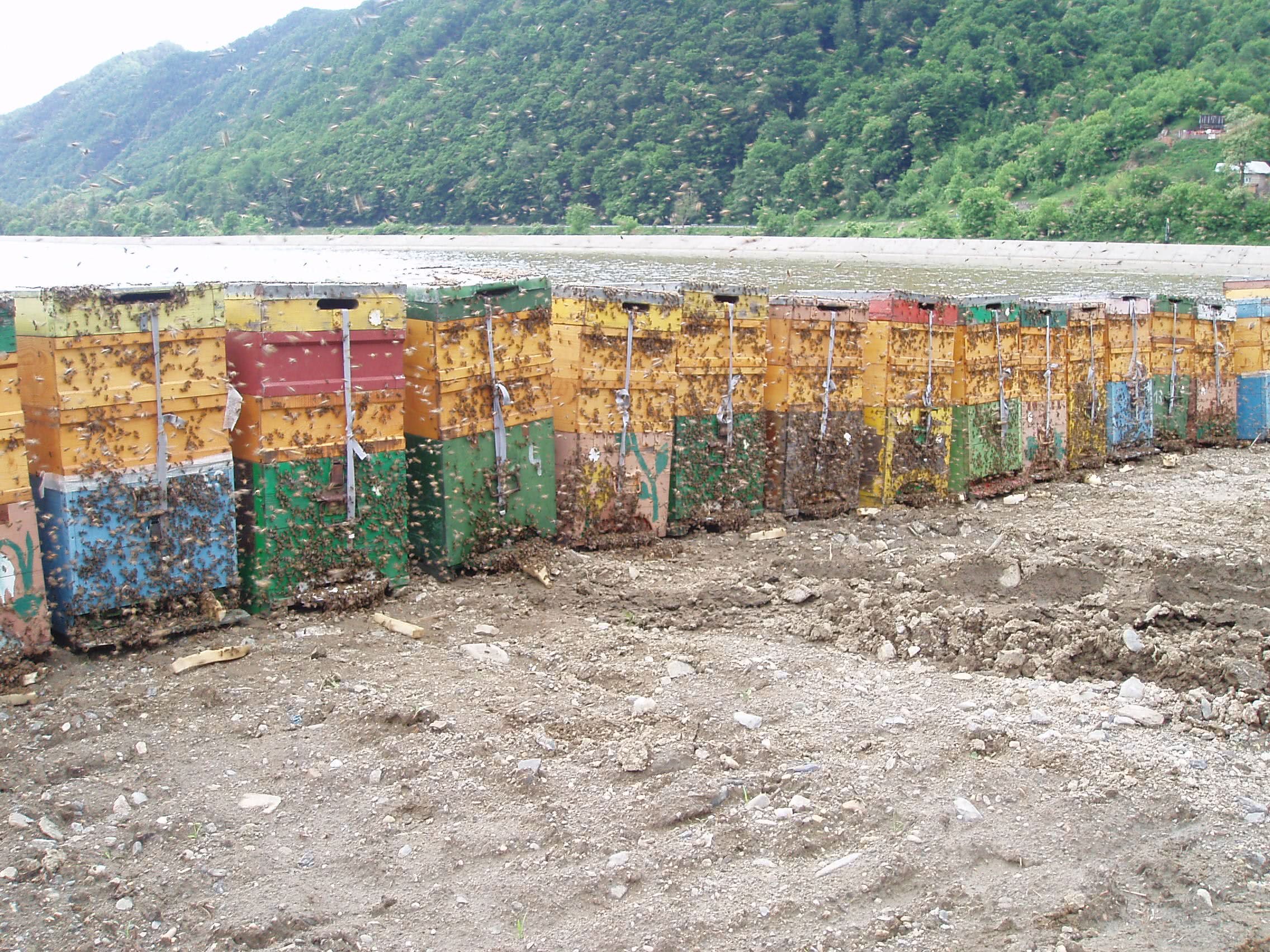 faire la fete a kiev