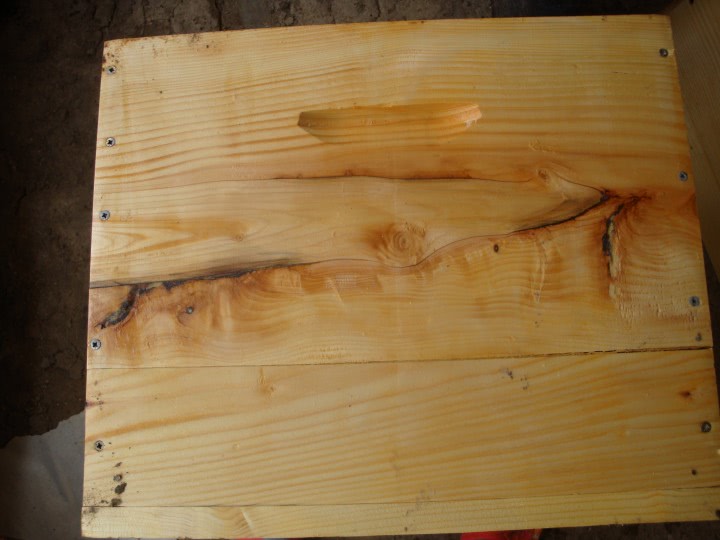 domn de companie jpg domn de companie