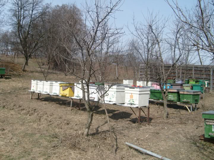 sex sex sex sex sex jpg sex sex sex sex sex