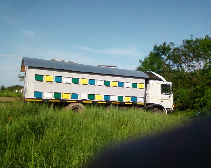 Fotografie 0060 jpg Fotografie 0060