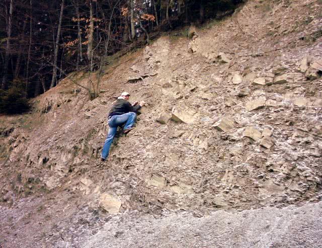 gay chloro jpg gay chloro