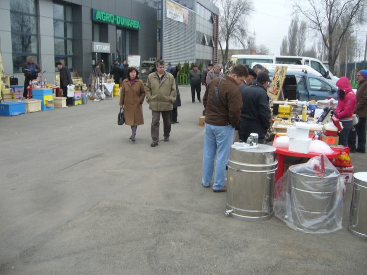 dame de compane galati jpg dame de compane galati