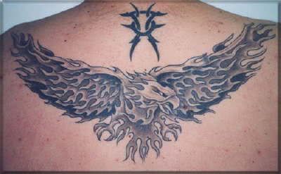 db_Cort_BG __31_1 jpg db_Cort_BG __31_1