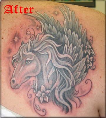 db_Cort_BG __45_1 jpg db_Cort_BG __45_1