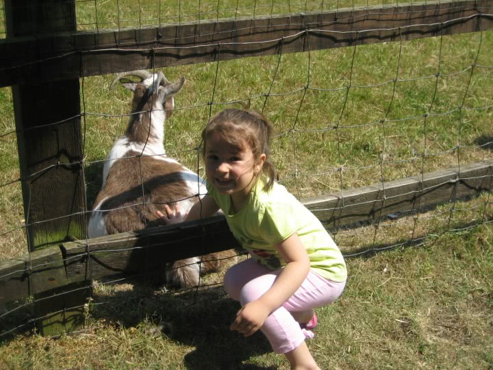 sex hotline quotes jpg sex hotline quotes