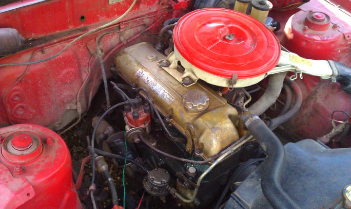 caut colaboratori in afaceri