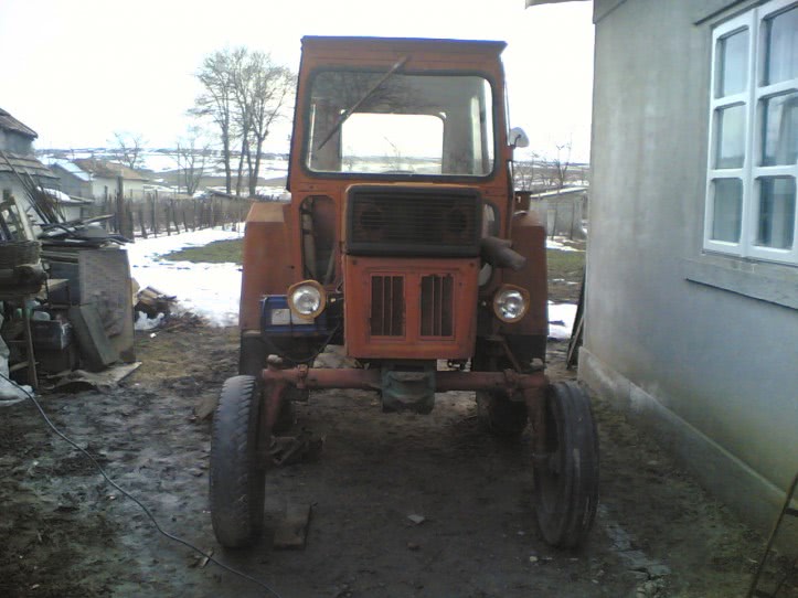 bichon maltez ploiesti ieftin jpg bichon maltez ploiesti ieftin