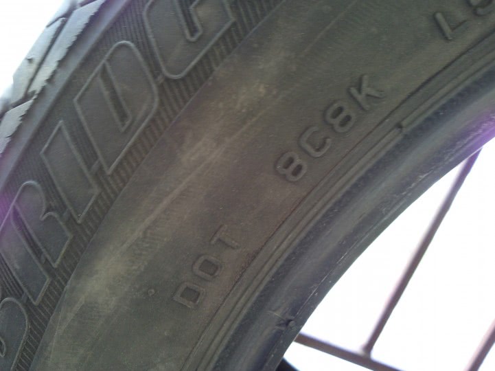 www chat orange fr jpg www chat orange fr