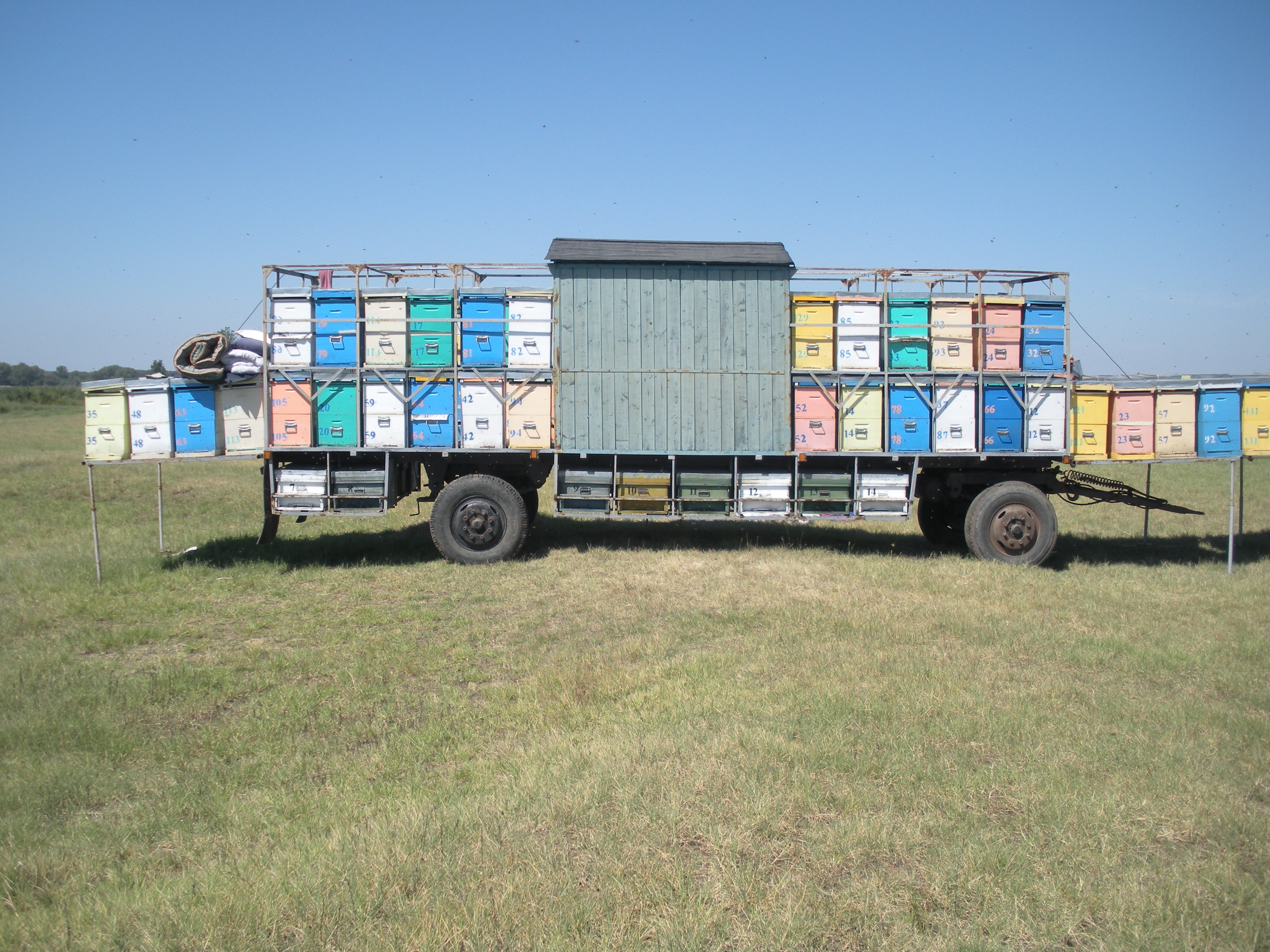 anunt matrimonial iasi