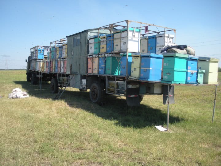 phone sex relationship jpg phone sex relationship