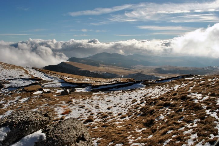 femei singure din alba jpg femei singure din alba