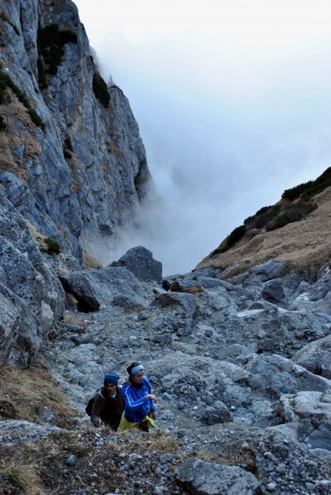matrimoniale alba sebes