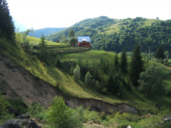 DSCF0318 jpg DSCF0318