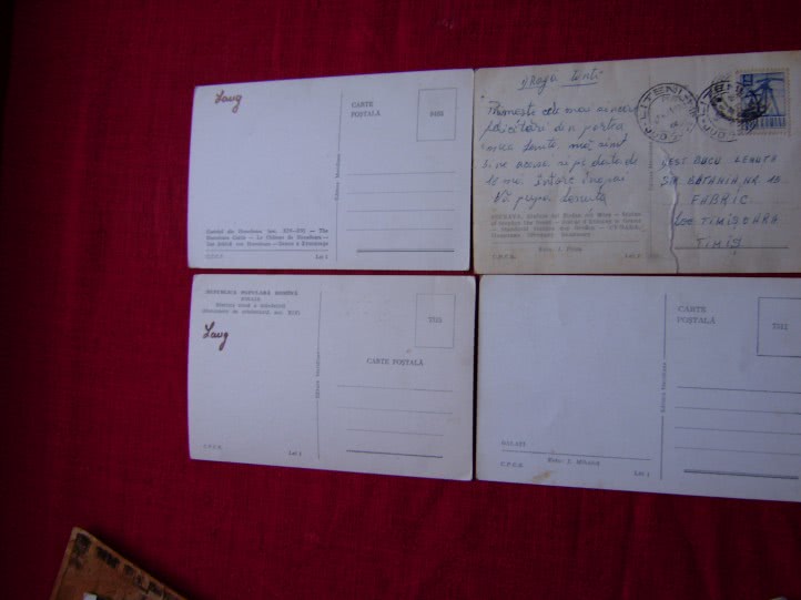 publi24 rosuceava jpg publi24 rosuceava