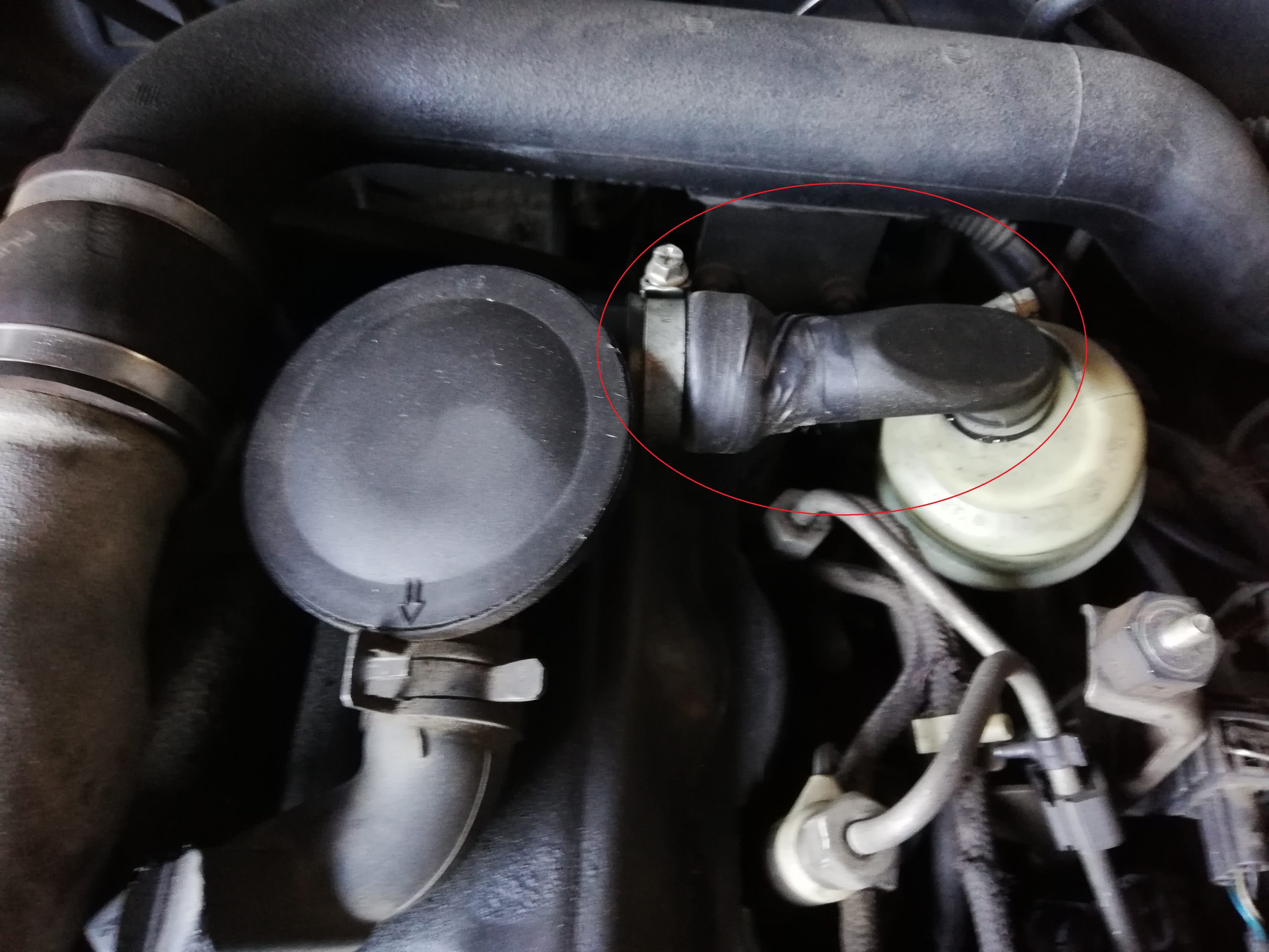 anunturi gay bv jpg anunturi gay bv