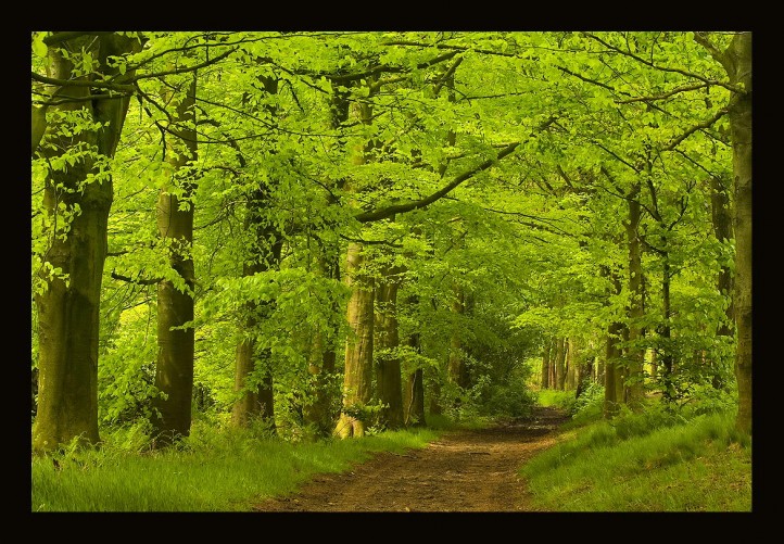 nimfomane com city galați