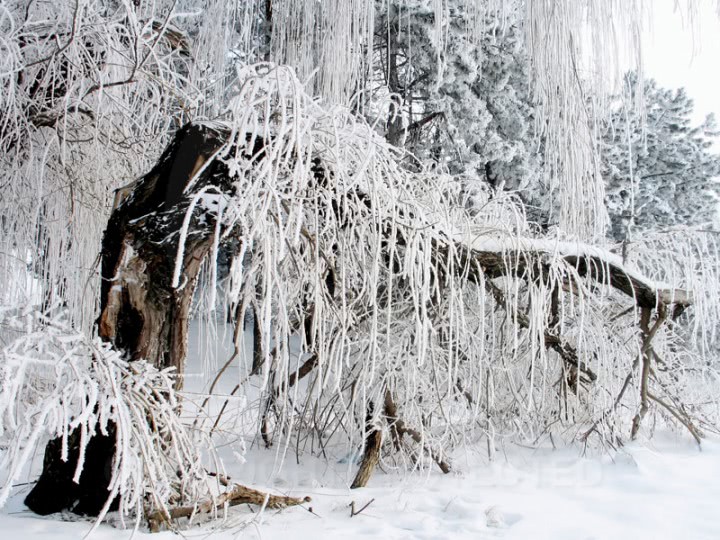 peisaje natura_11 jpg peisaje natura_11