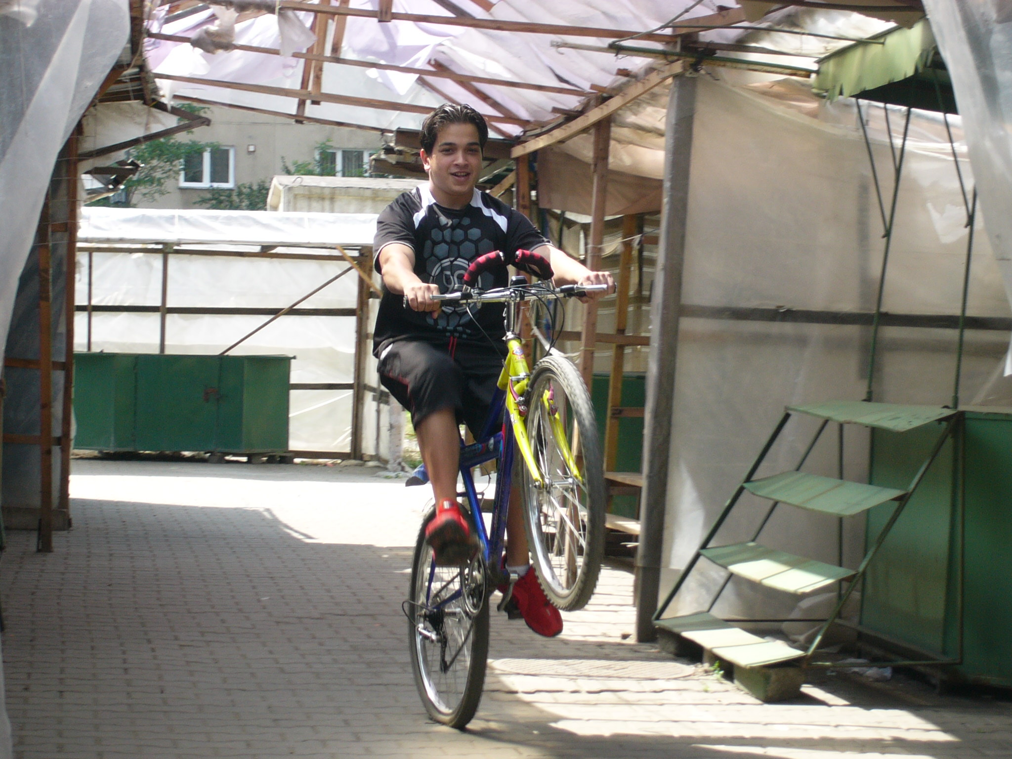 dama de conpanie suceava